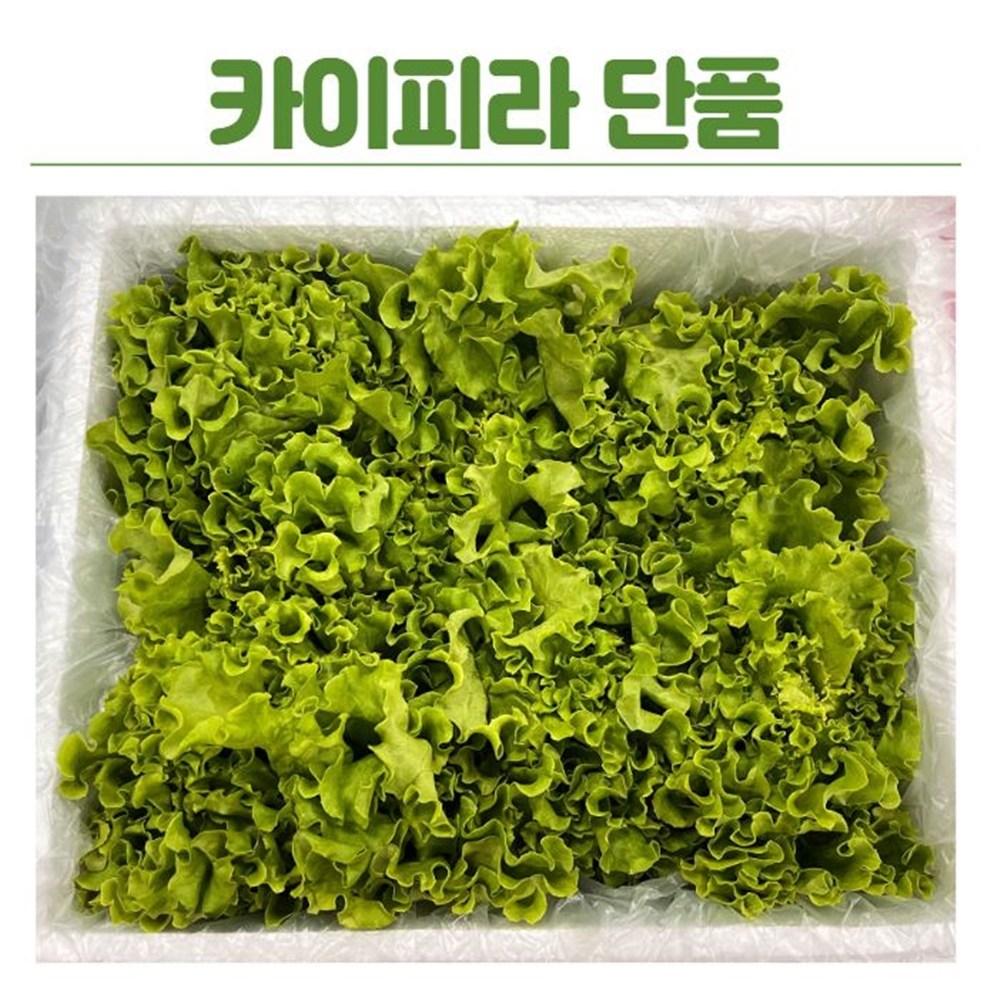 2025에 꼭 사야할 야채 샐러드 종류: TOP 10 리스트 3 2 43