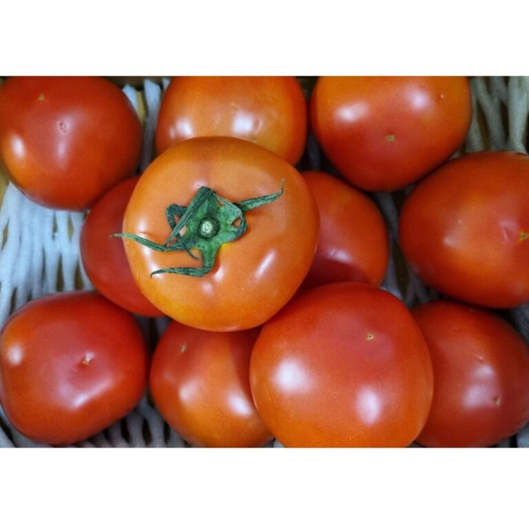 featured image 20250911 031851