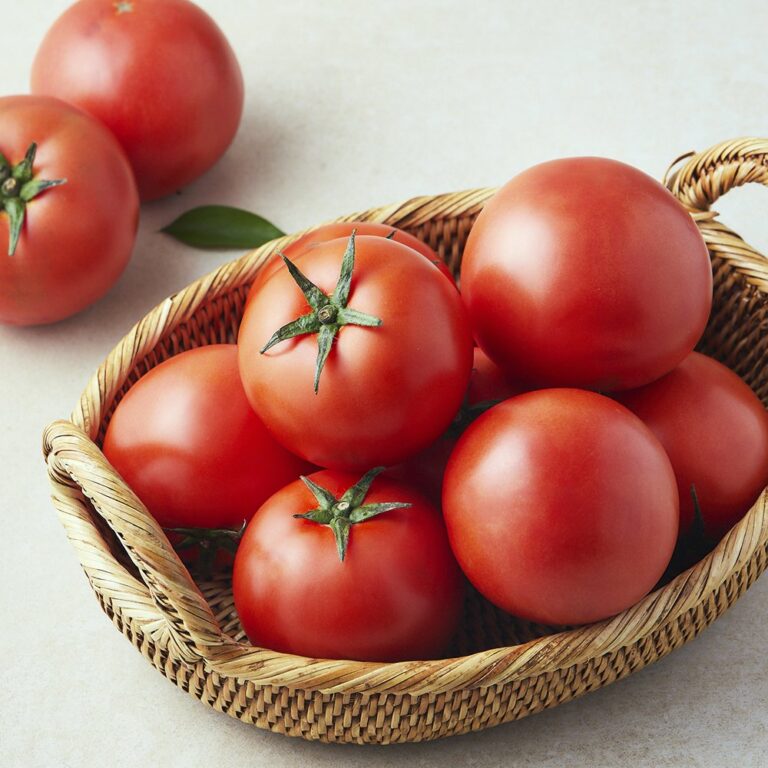 featured image 20251130 010359