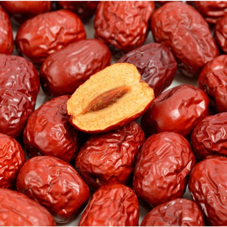 featured image 20251221 200647