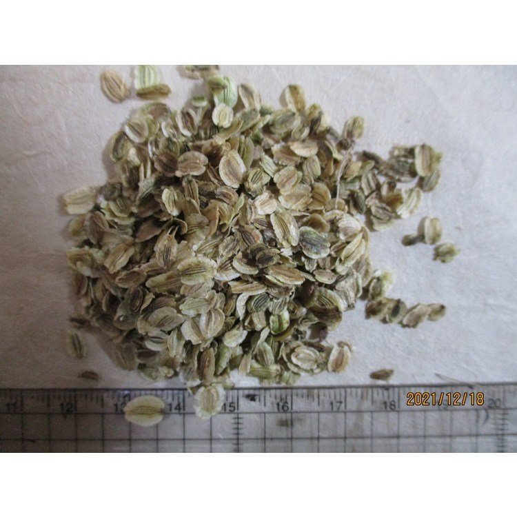 featured image 20251224 064305