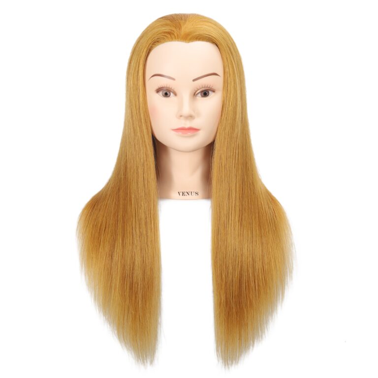 featured image 20251224 071034