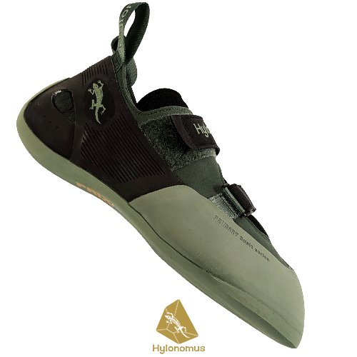 featured image 20251225 100211