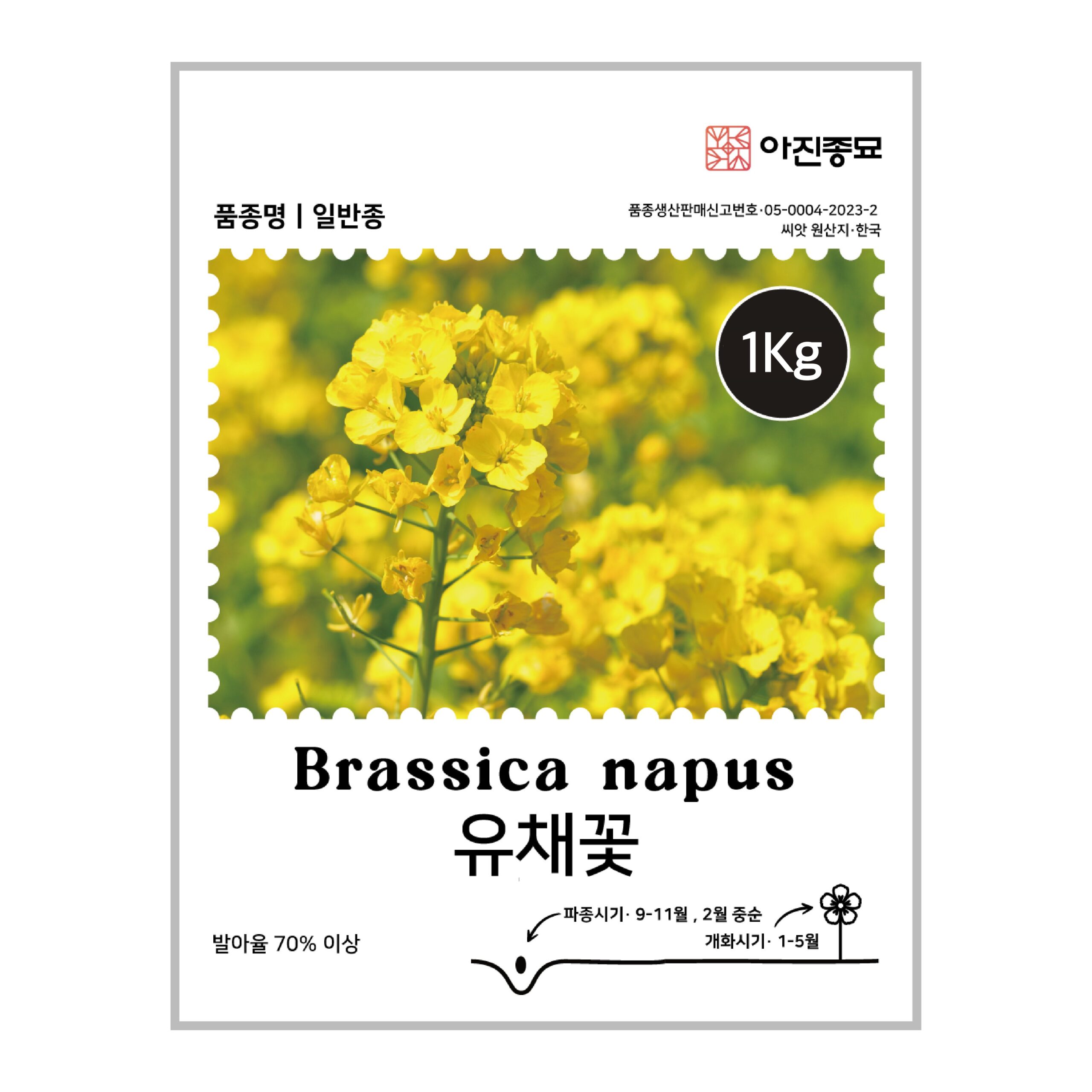 featured image 20251225 101820 scaled