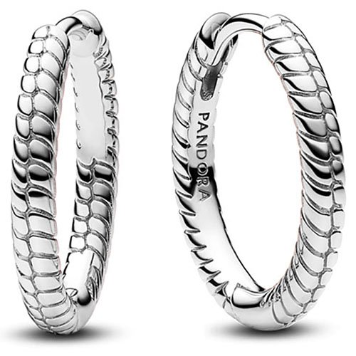 featured image 20260101 071927